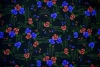 Setekshome Divitin Pazen Kumaş Siyah Zemin Kırmızı Mavi Çiçek Yeşil Dal Desenli